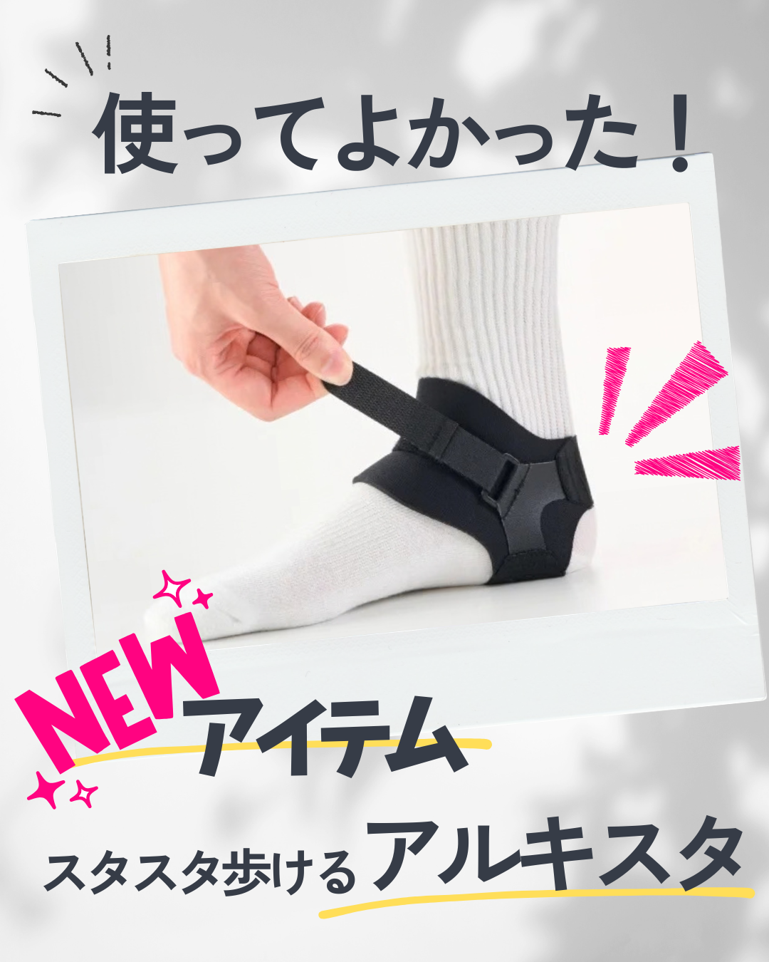 アルキスタ、新登場 !!
