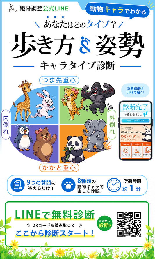 距骨のMBTIって !?
